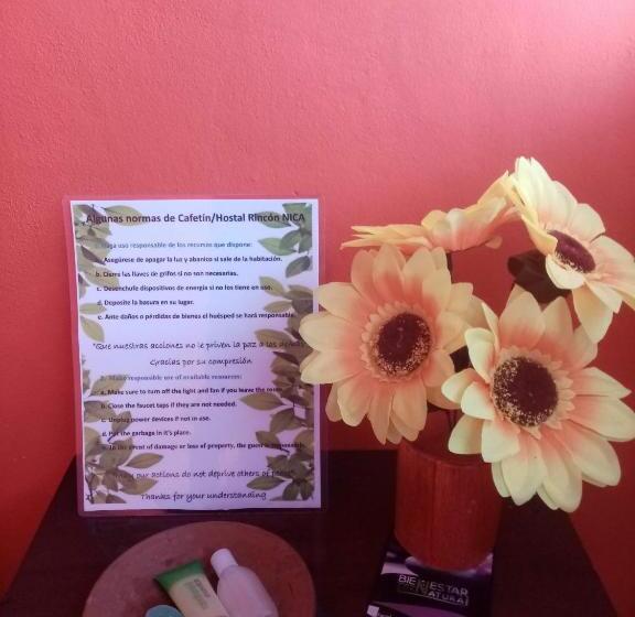 스탠다드 싱글 룸, Cafetín Hostal Rincón Nica