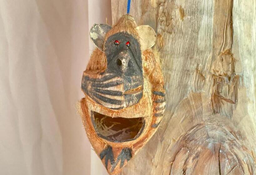 Superior Kamer met Kingsize Bed, Savi House Nungwi