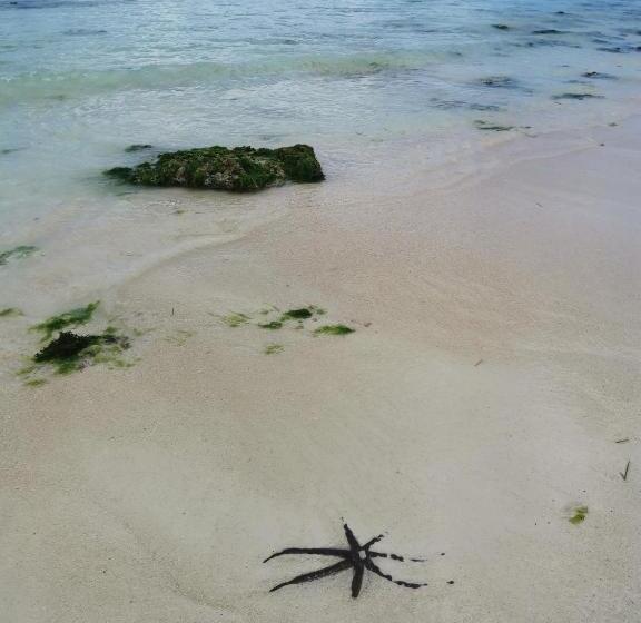 Standaardkamer met Kingsize Bed, Savi House Nungwi