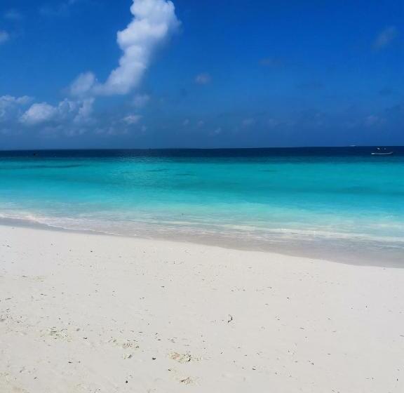 Superior Kamer met Kingsize Bed, Savi House Nungwi