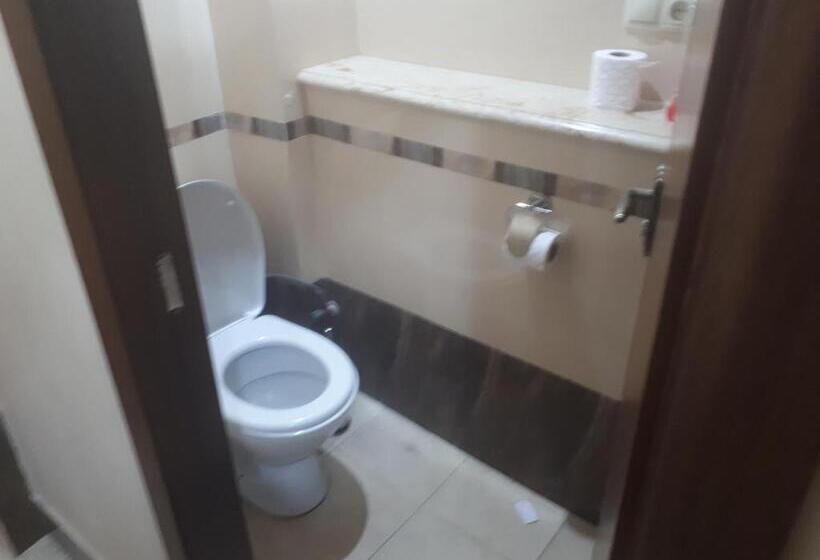 اتاق استاندارد با سرویس بهداشتی مشترک, Sunflower