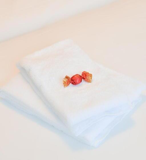 غرفة قياسية, De Grote Zwaan