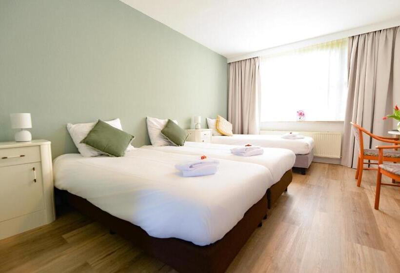 غرفة قياسية ثلاثية, De Grote Zwaan