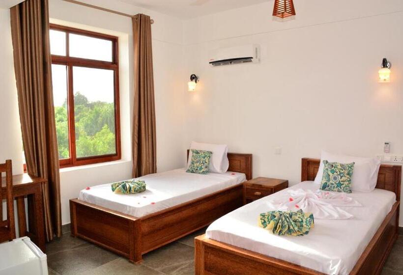 标准间, Zanoceanique