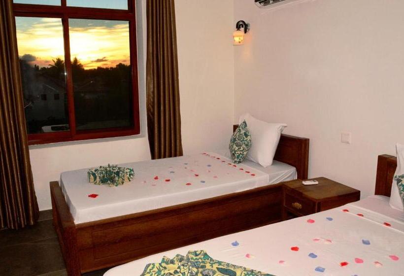 标准间, Zanoceanique