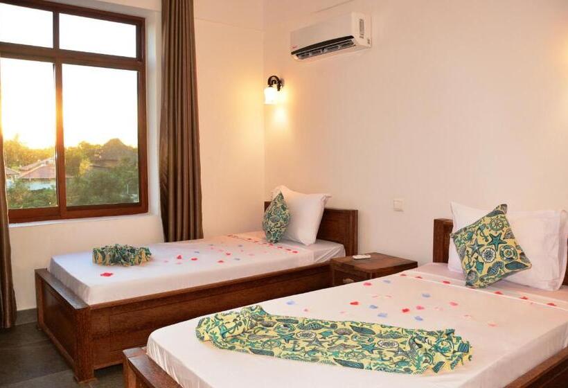 标准间, Zanoceanique