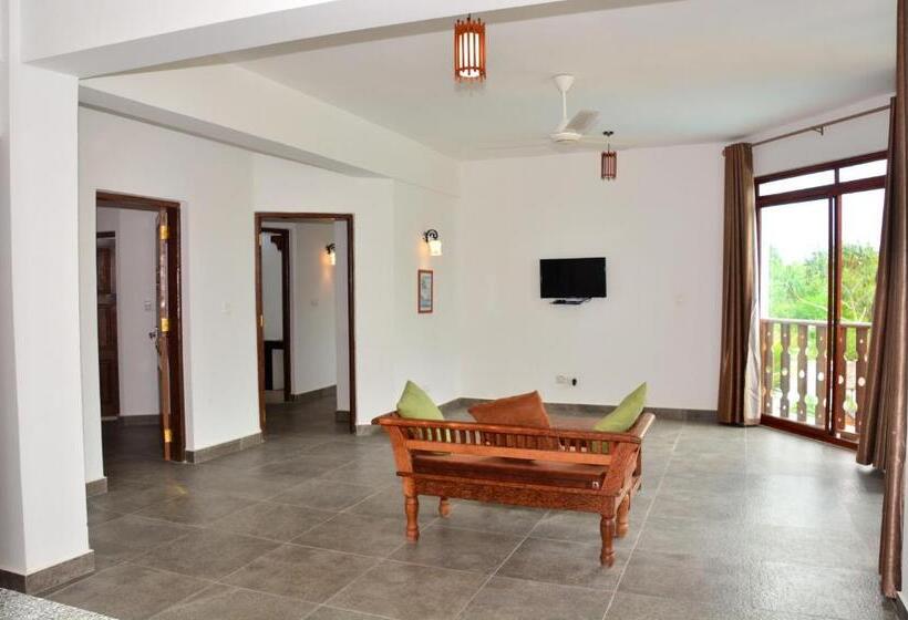 带大床的标准间, Zanoceanique