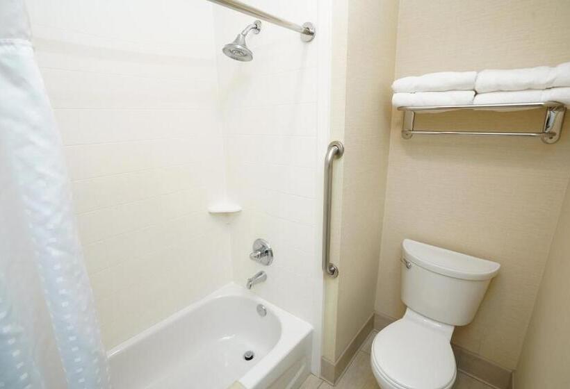 Номер Deluxe, Creekside Hotel & Suites