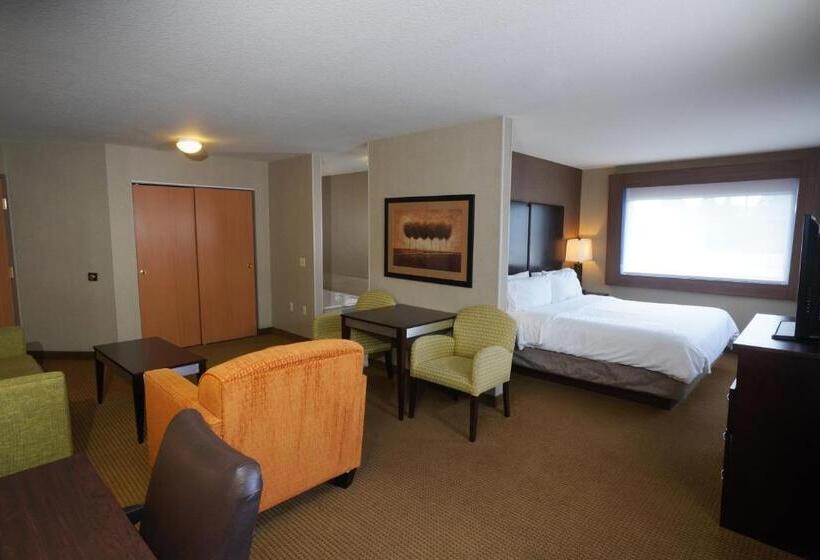 جناح سرير كينج, Creekside Hotel & Suites