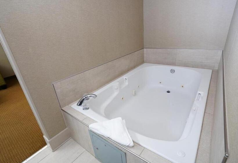 Люкс Кровать Кинг, Creekside Hotel & Suites