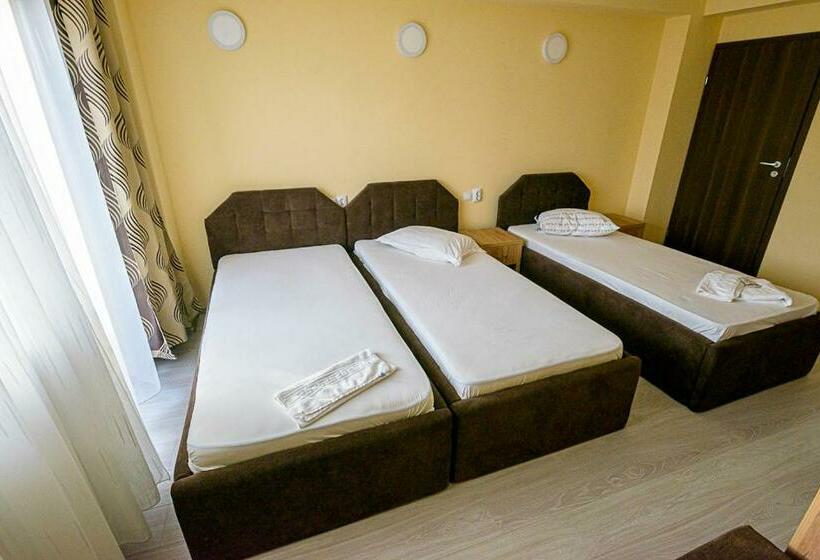 غرفة قياسية ثلاثية, Casa Domneasca Riana