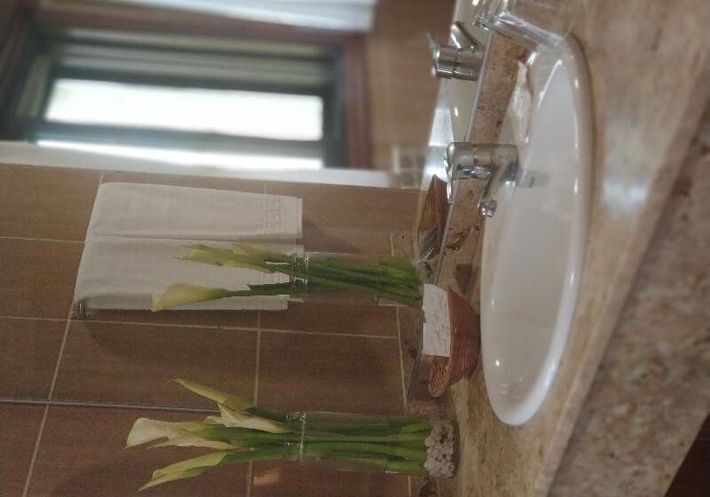 スタンダードルーム, Avión By Bossh Hotels