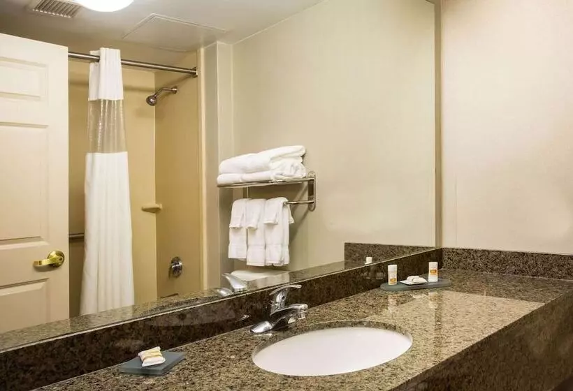 اتاق استاندارد با 2 تخت دوبل, La Quinta By Wyndham Islip   Macarthur Airport