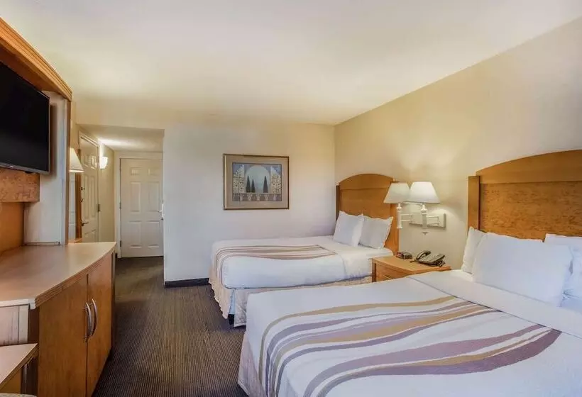 اتاق استاندارد با 2 تخت دوبل, La Quinta By Wyndham Islip   Macarthur Airport