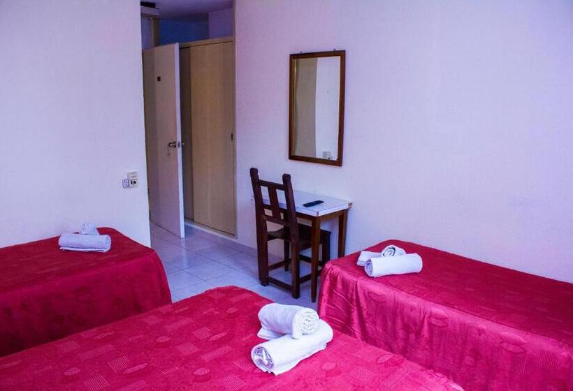 غرفة قياسية رباعية, San Remo Park