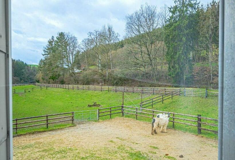 スタンダードトリプルルーム, Ulftaler Schenke