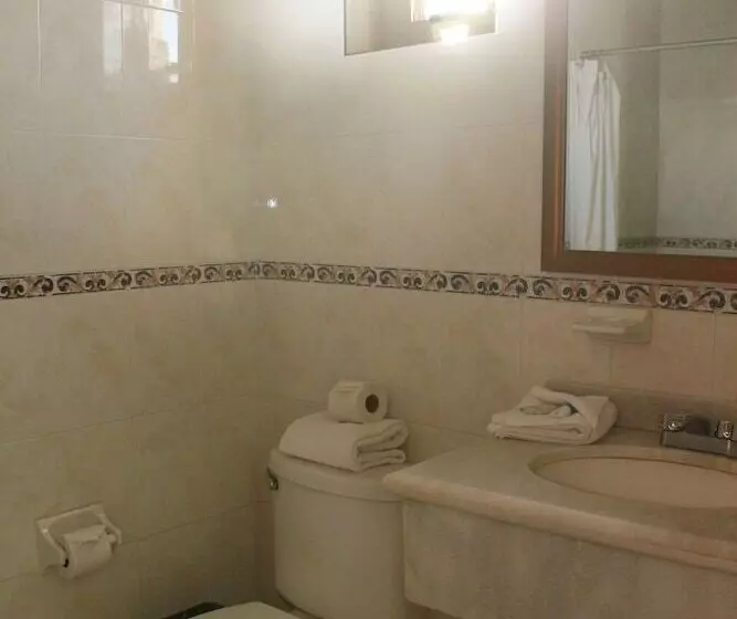 2ダブルベッドのスタンダードルーム, Vista Express Morelia By Arriva Hospitality Group