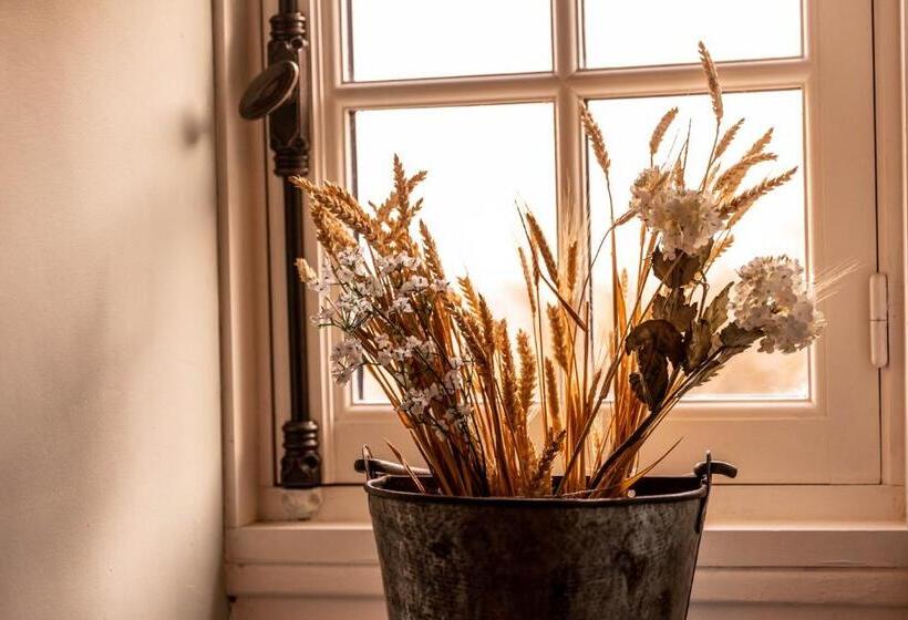 غرفة عائلية, ô Château