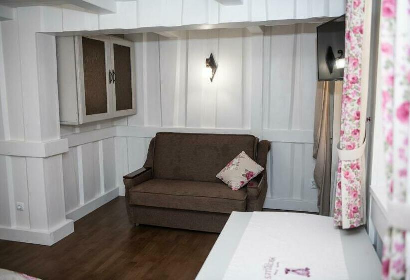 غرفة قياسية, Michelle S