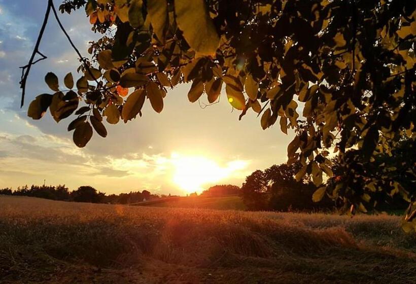 스탠다드 룸 1층, Haus Falle