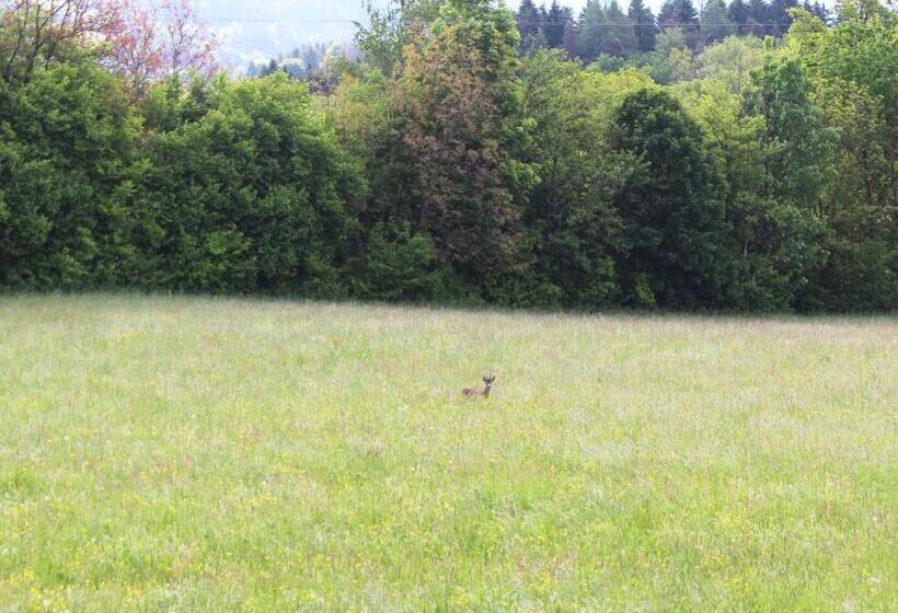 패밀리 룸, Haus Falle