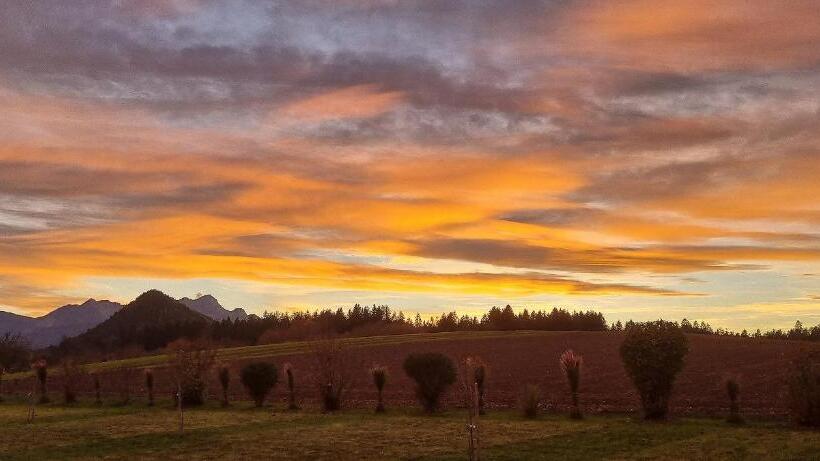 패밀리 룸, Haus Falle