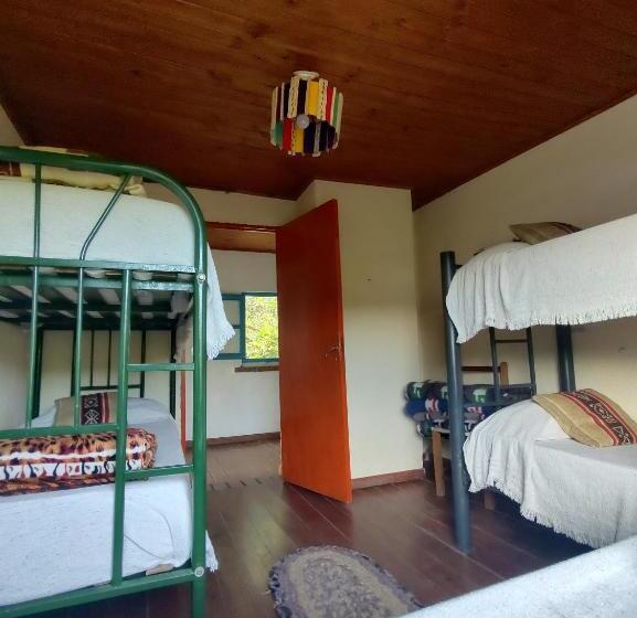 Кровать в Общей Комнате, Onda Verde Hostel