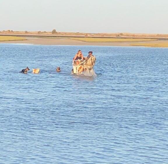 디럭스 룸, Djerba Orient