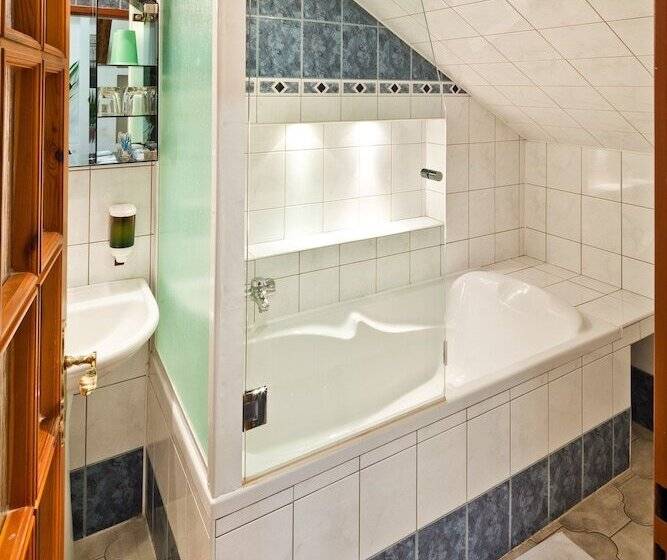 شقة غرفة واحدة, Pension Fontana Svitavy