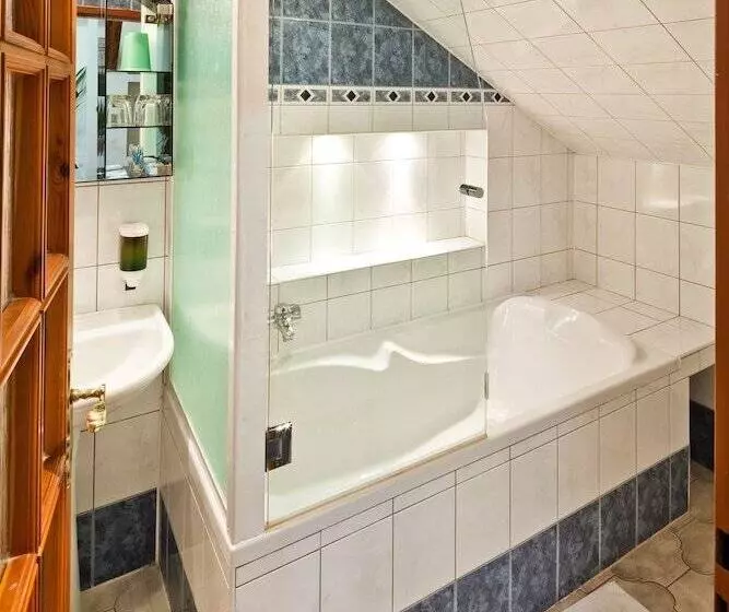 １ベッドルームアパートメント, Pension Fontana Svitavy