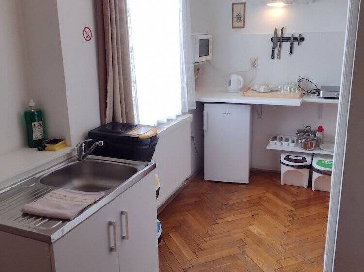 شقة غرفة واحدة, Pension Fontana Svitavy