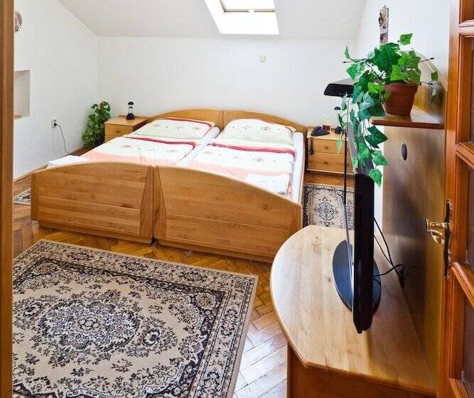 شقة غرفة واحدة, Pension Fontana Svitavy