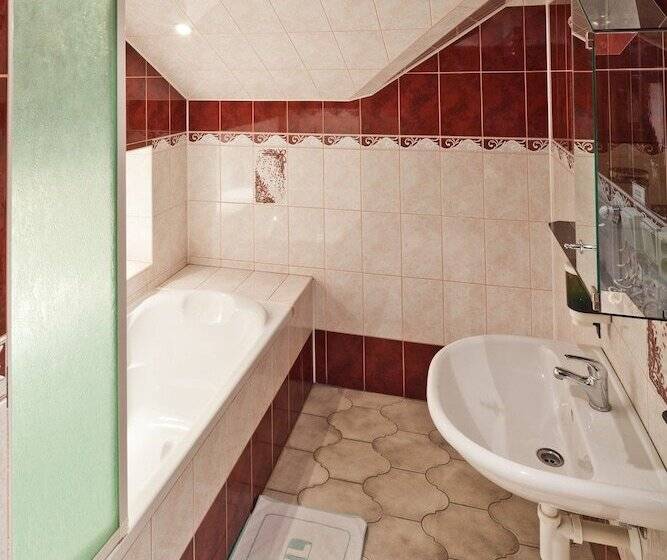 شقة غرفة واحدة, Pension Fontana Svitavy