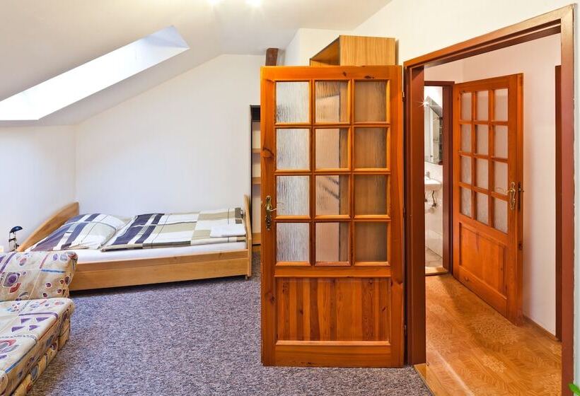 غرفة قياسية فردية, Pension Fontana Svitavy