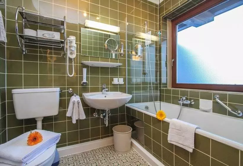 コンフォートシングルルーム, Tiroler Adler Bed & Breakfast