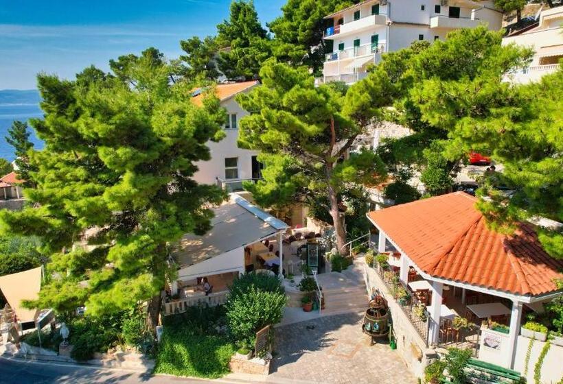 스탠다드 룸, Villa Petra