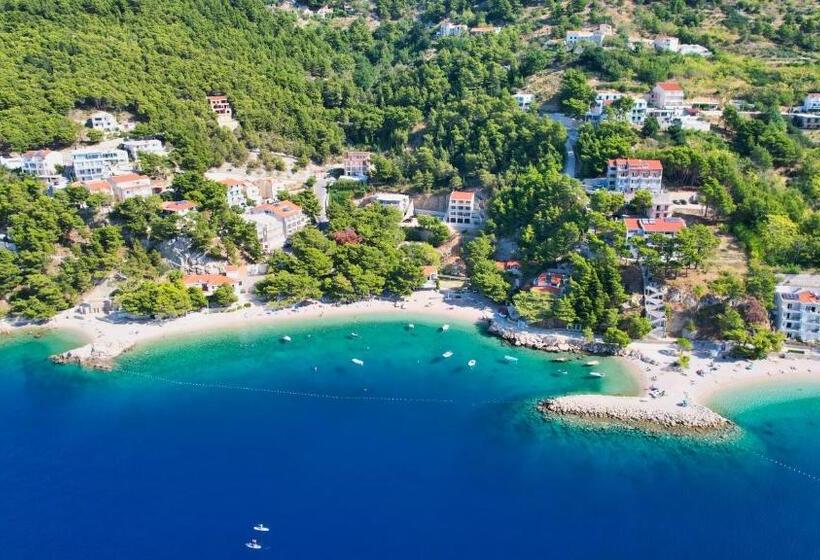 스탠다드 룸, Villa Petra