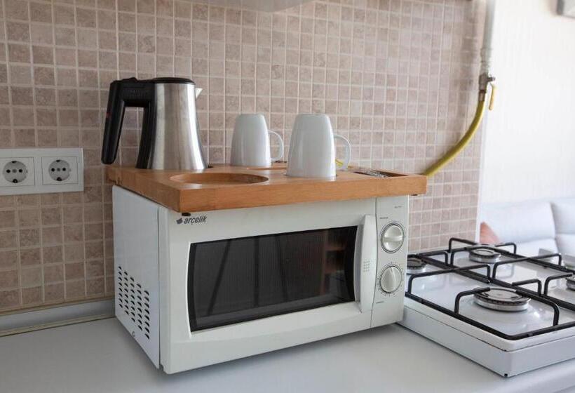 آپارتمان 1 خوابه با بالکن, Maravilloso Hotel Galata