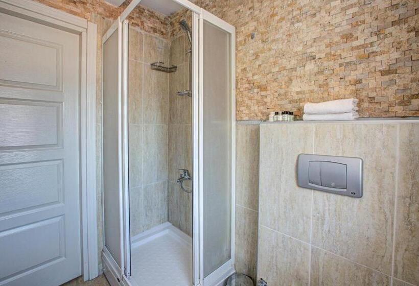 آپارتمان 1 خوابه با بالکن, Maravilloso Hotel Galata