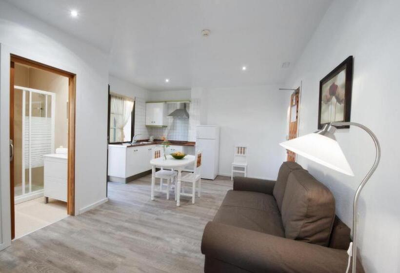 آپارتمان 1 خوابه, Apartamentos Adjovimar