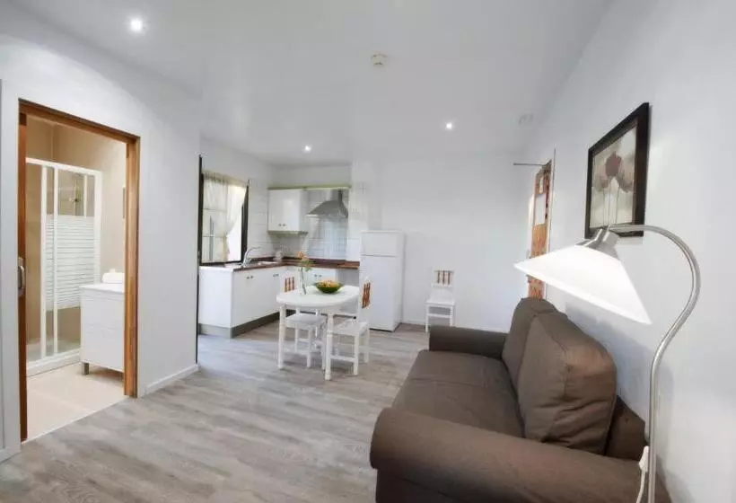 آپارتمان 1 خوابه, Apartamentos Adjovimar