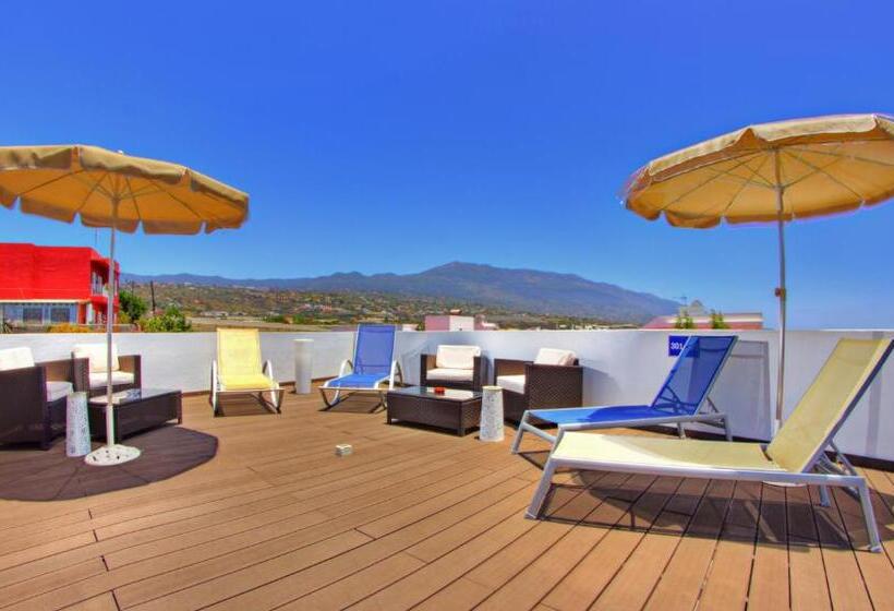 1 Bedroom Penthouse Apartment, Apartamentos Adjovimar