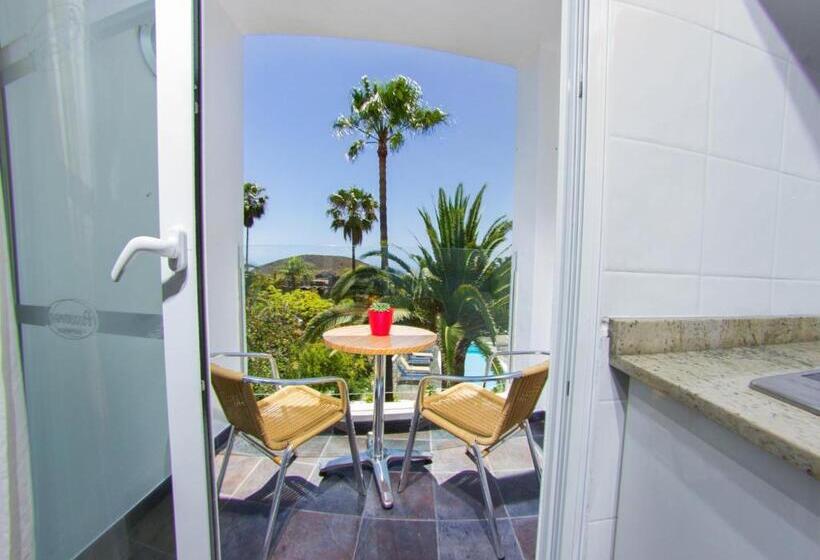 1 Bedroom Penthouse Apartment, Apartamentos Adjovimar