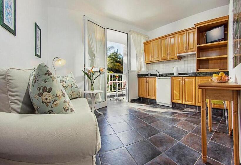 آپارتمان 1 خوابه, Apartamentos Adjovimar