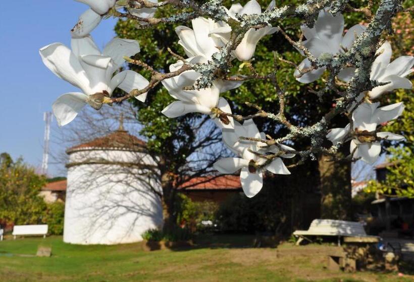 Дом 1 Спальня, Casa Grande De Cornide Santiago De Compostela