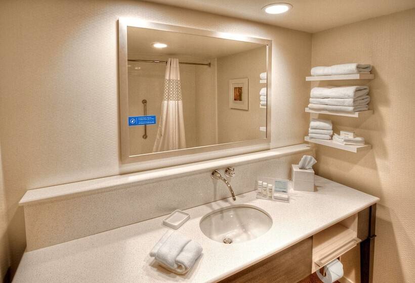 غرفة قياسية سرير كينج, Hampton Inn & Suites Asheville Airport