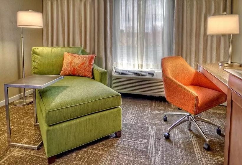Standard-huone King-vuode, Hampton Inn & Suites Asheville Airport
