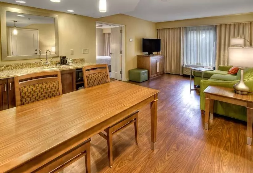 Sviitti King-vuode, Hampton Inn & Suites Asheville Airport