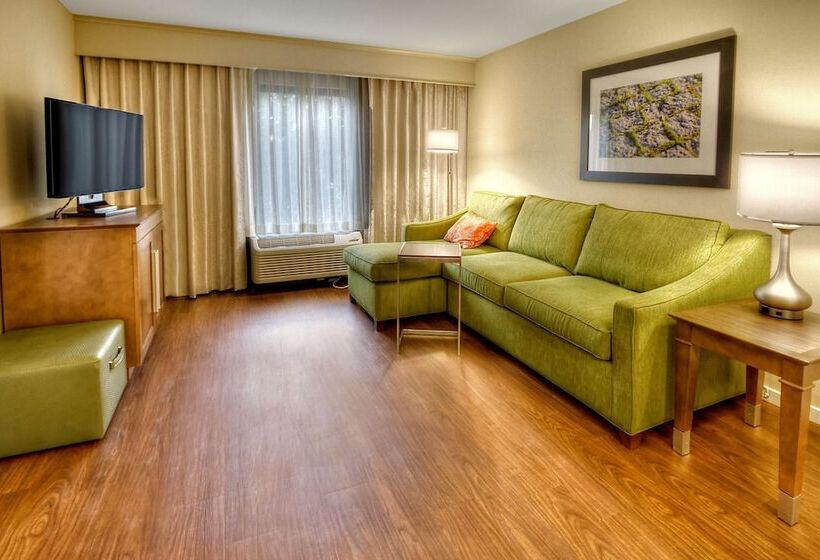 Люкс Кровать Кинг, Hampton Inn & Suites Asheville Airport