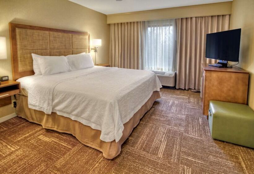 جناح سرير كينج, Hampton Inn & Suites Asheville Airport